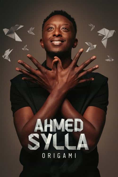 Ahmed Sylla : Origami