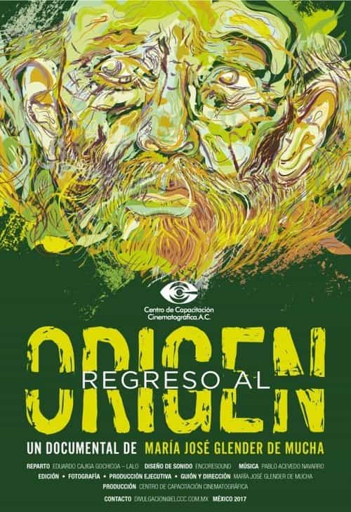 Back to the Origin
