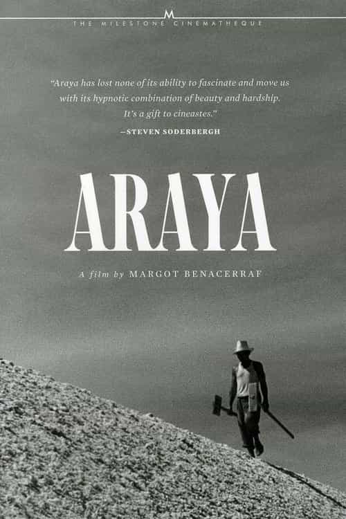 Araya