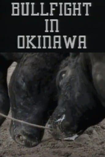 Bullfight in Okinawa
